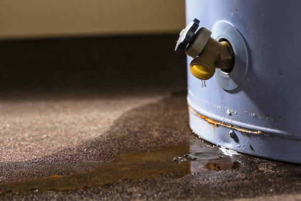 Reliable Bushland, TX Water damage restoration Solutions