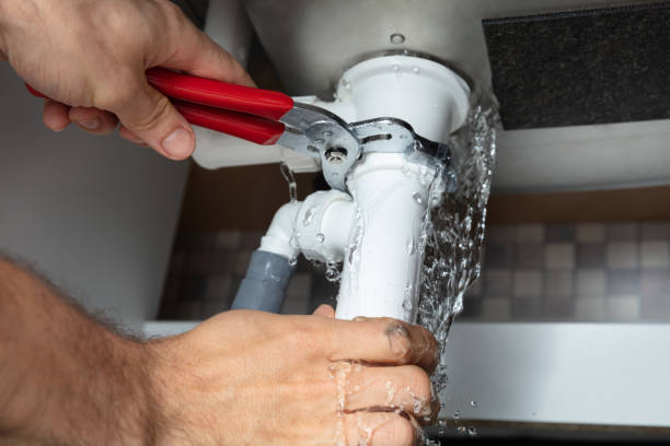 Best Mold removal after water damage  in Bushland, TX