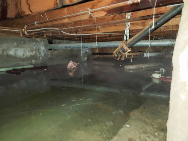 Best 24/7 water damage repair  in Bushland, TX