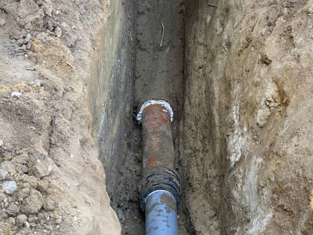 Best Flood restoration services  in Bushland, TX