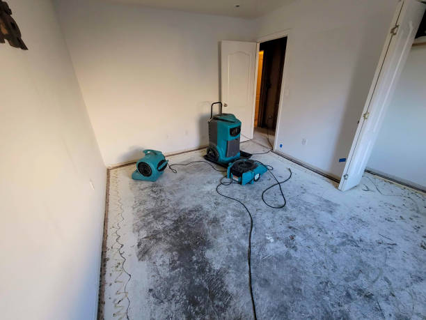 Best Carpet water damage restoration  in Bushland, TX