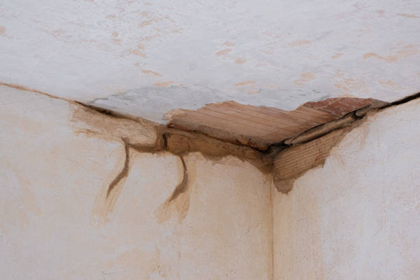 Best Water damage contractors near me  in Bushland, TX
