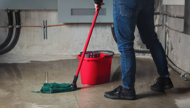  Bushland, TX Water damage restoration Pros