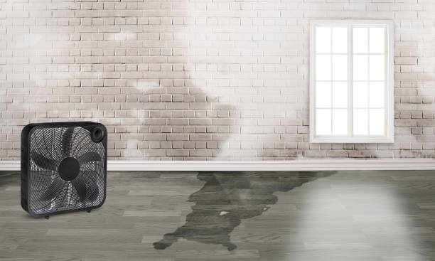 Best Flooded house restoration  in Bushland, TX