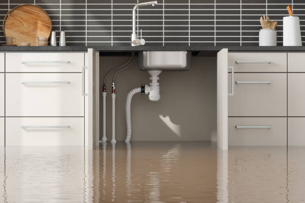 Best Emergency water damage restoration  in Bushland, TX