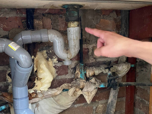 Best Water damage restoration near me  in Bushland, TX