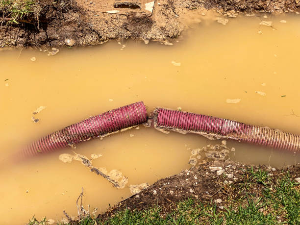 Best Water damage cleanup near me  in Bushland, TX