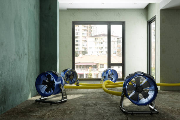 Best Ceiling water damage repair  in Bushland, TX